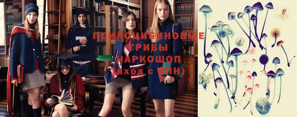 скорость Вяземский