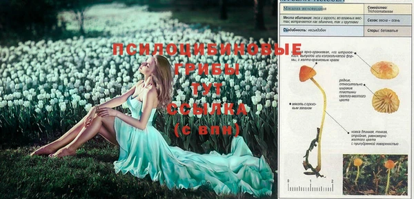 амфетамин Вязьма