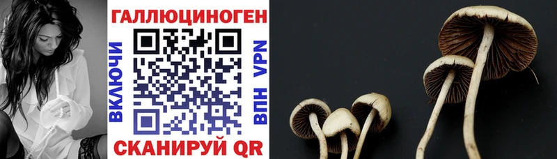 купить наркотик  Печоры  Галлюциногенные грибы Cubensis 